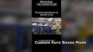 Produkcja niestandardowych skrzynek Euro i kontenerów VDA | Fabryka plastikowych kontenerów logistycznych OEM