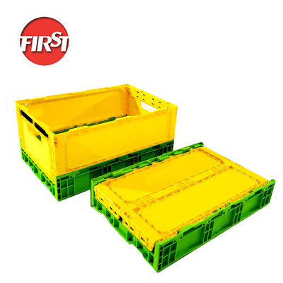 kupować 508*338*100mm Składane pudełka z tworzyw sztucznych do wygodnego transportu warzyw produkcja online