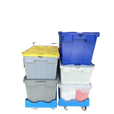kupować Plastikowa skrzynia gniazdowa z przymocowaną osłoną do łatwej organizacji i transportu produkcja online