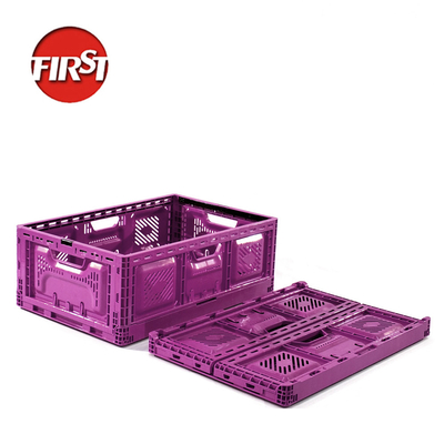 kupować 570x370x210mm Małe składane plastikowe skrzynki owocowe składane Rolnictwo produkcja online